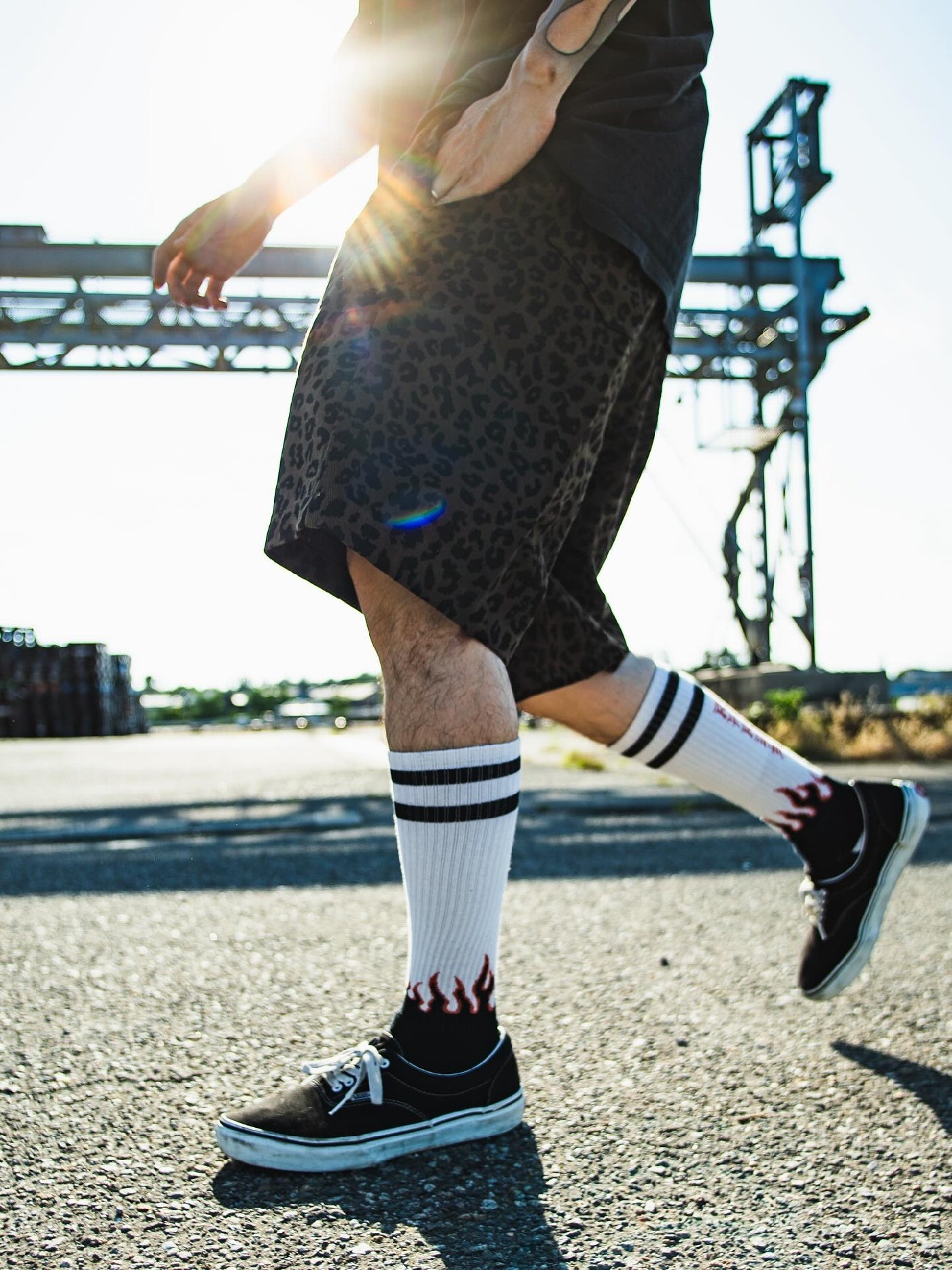 FLUTTER | The Holiday -Comfy fit- Cotton Twill Leopard Easy Short Pants - Brown