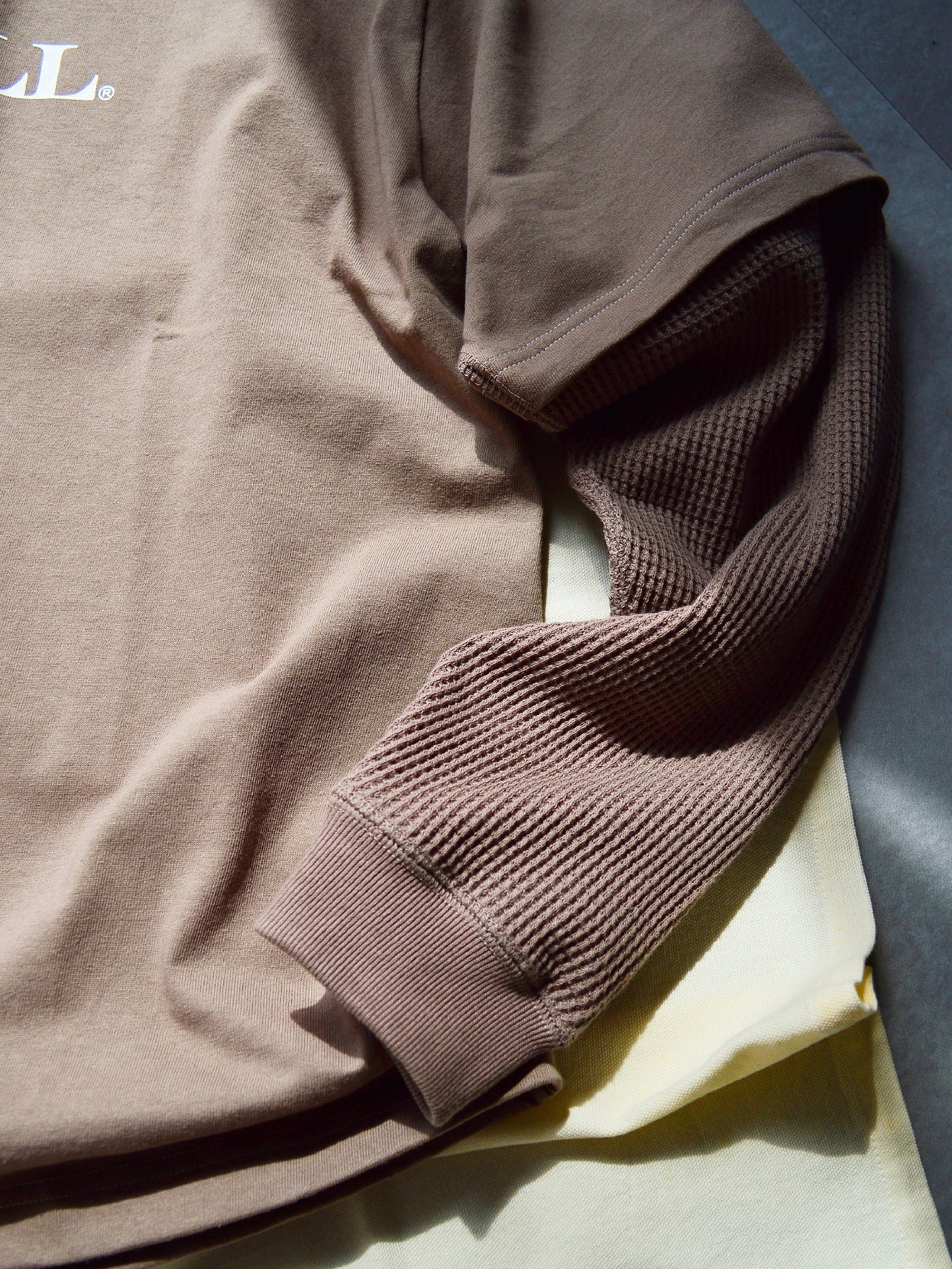 RADIALL | Board Walk - FAKE LAYERED T-SHIRT L/S - Taupe