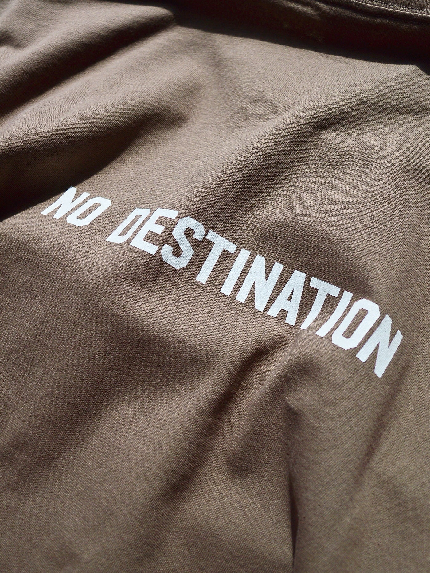 RADIALL | Board Walk - FAKE LAYERED T-SHIRT L/S - Taupe