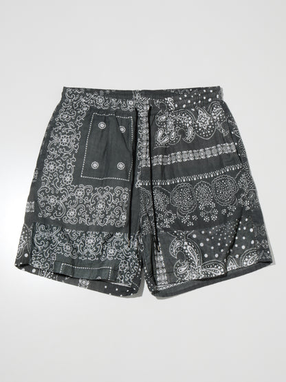 RADIALL | Muscle Shoals - STRAIGHT FIT EASY SHORTS - Shady Black