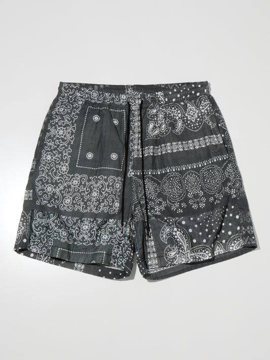 RADIALL | Muscle Shoals - STRAIGHT FIT EASY SHORTS - Shady Black